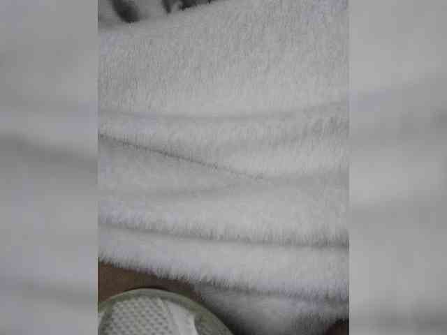 Juanitamami webcam