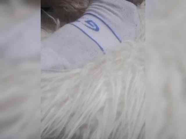 Juanitamami webcam