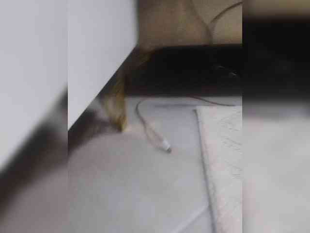 Juanitamami webcam