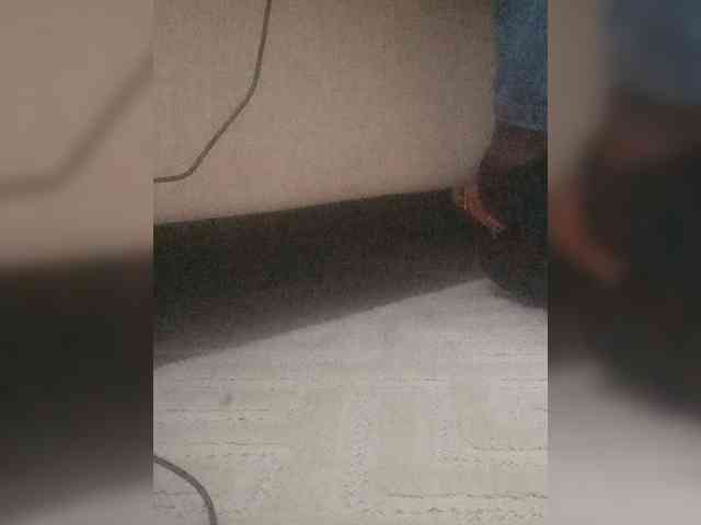 Juanitamami webcam