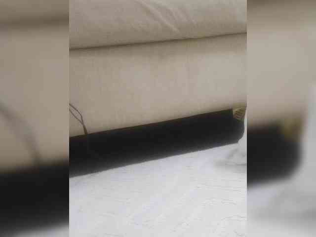 Juanitamami webcam