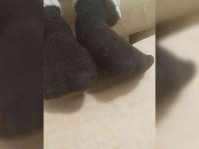 Juanitamami webcam