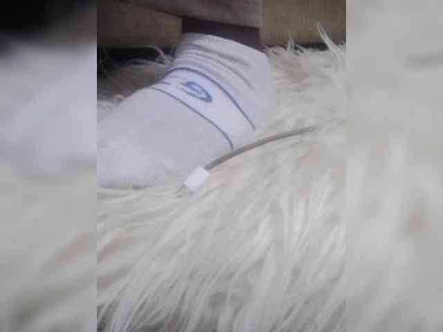 Juanitamami webcam