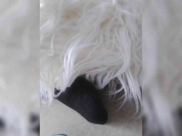 Juanitamami webcam