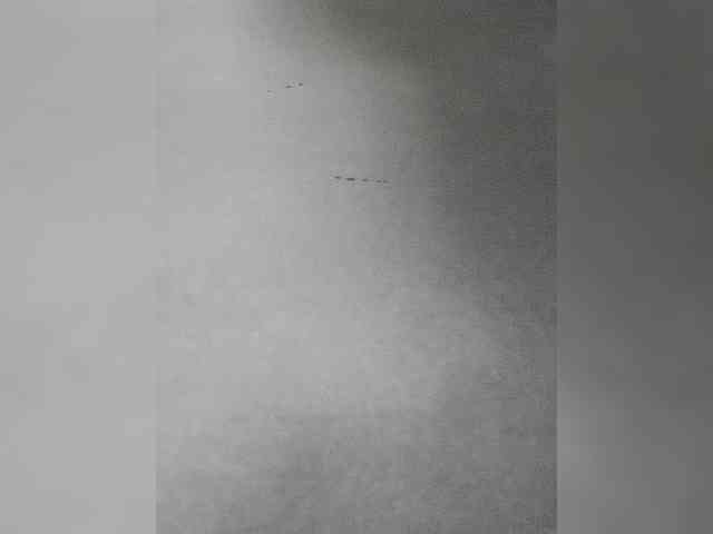 Juanitamami webcam