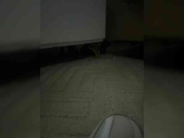 Juanitamami webcam