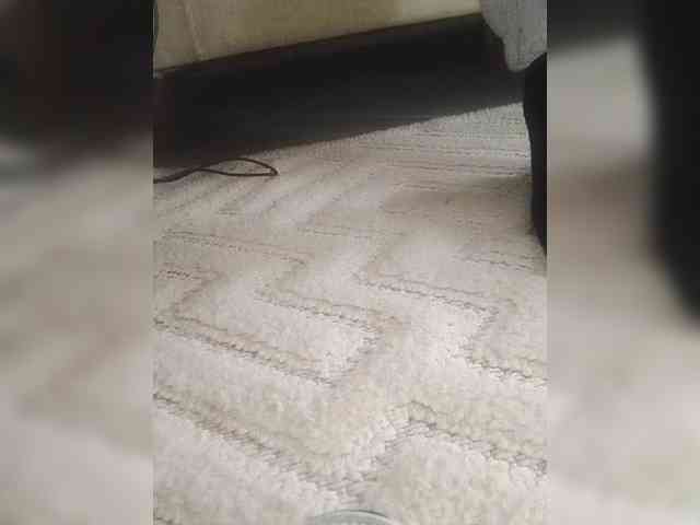 Juanitamami webcam
