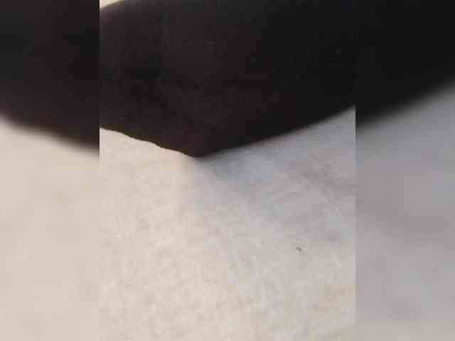 Juanitamami webcam
