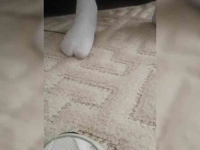 Juanitamami webcam