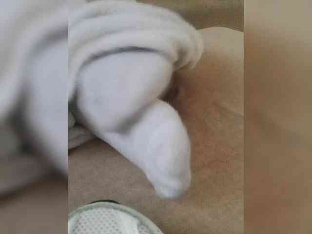 Juanitamami webcam