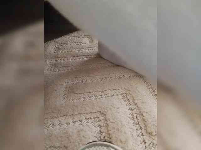 Juanitamami webcam