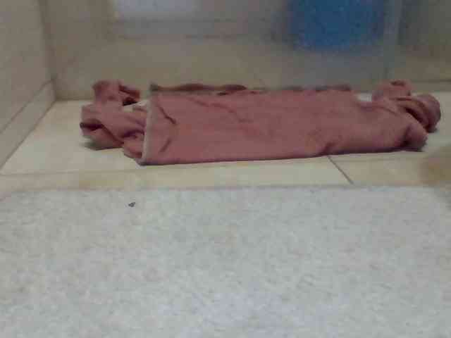 Juanitamami webcam