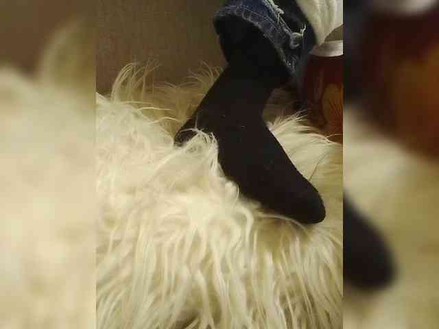 Juanitamami webcam