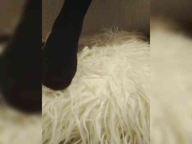 Juanitamami webcam
