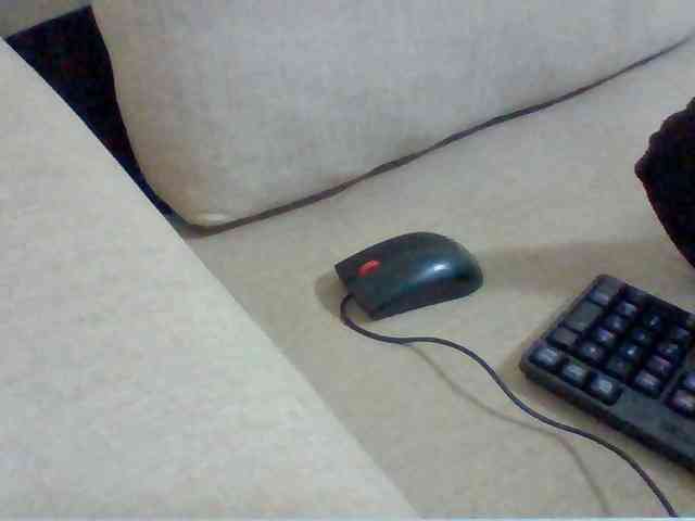 Juanitamami webcam