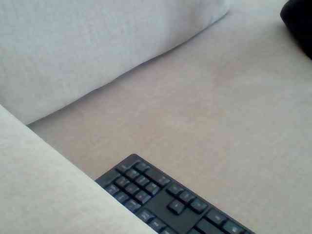 Juanitamami webcam