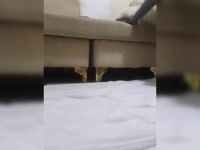 Juanitamami webcam