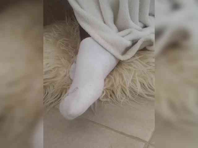 Juanitamami webcam