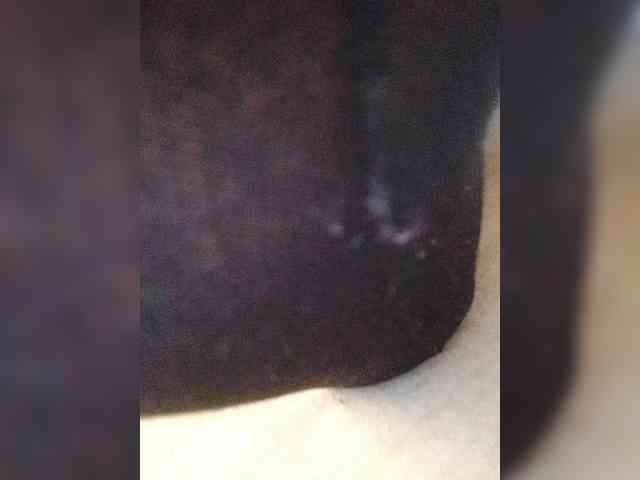 Juanitamami webcam