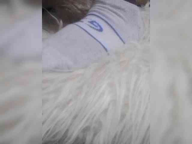 Juanitamami webcam
