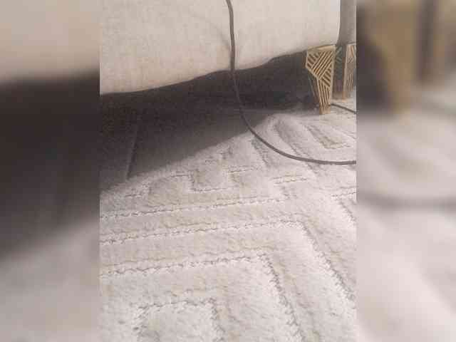 Juanitamami webcam