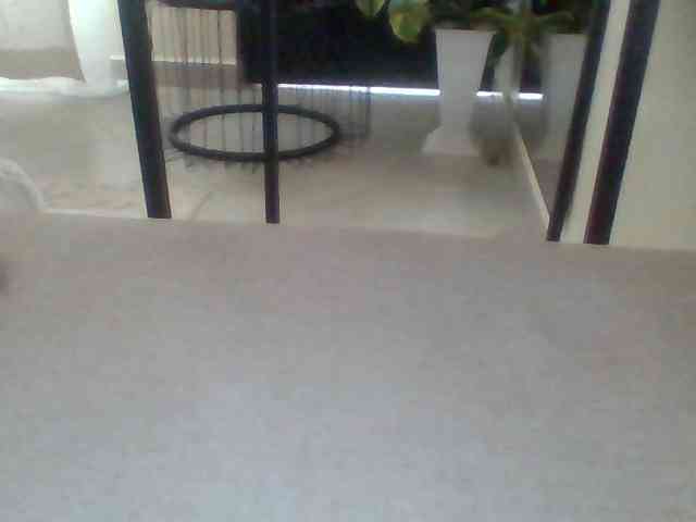 Juanitamami webcam