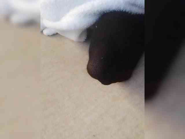 Juanitamami webcam
