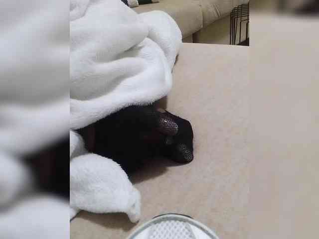 Juanitamami webcam