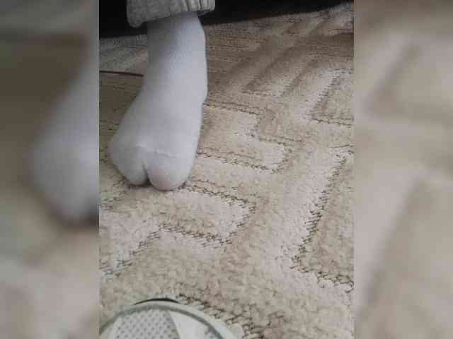 Juanitamami webcam