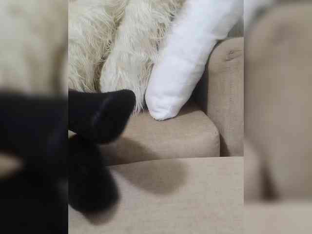 Juanitamami webcam
