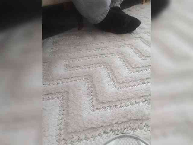 Juanitamami webcam