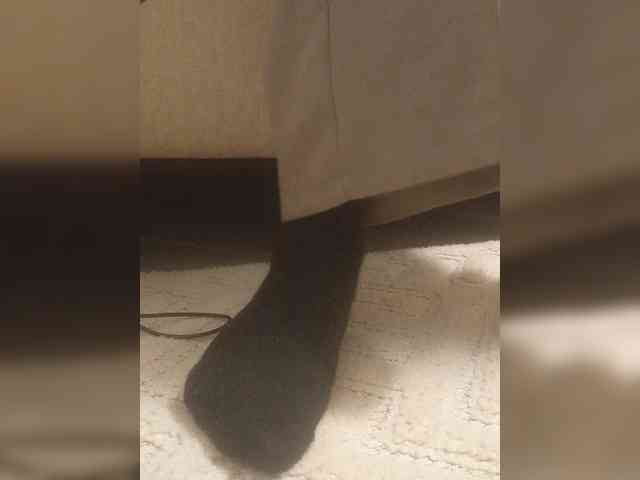 Juanitamami webcam