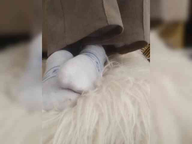 Juanitamami webcam
