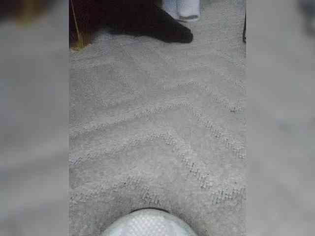 Juanitamami webcam