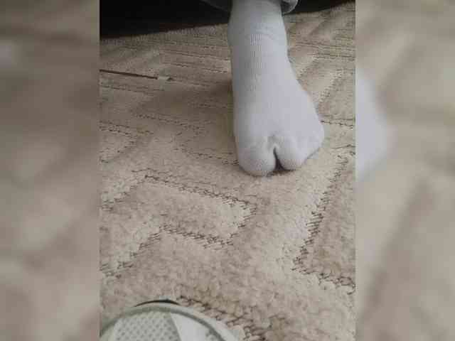Juanitamami webcam