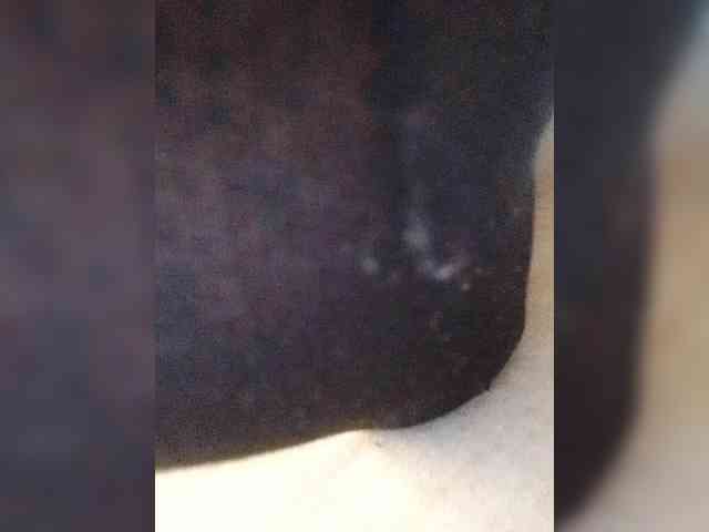 Juanitamami webcam
