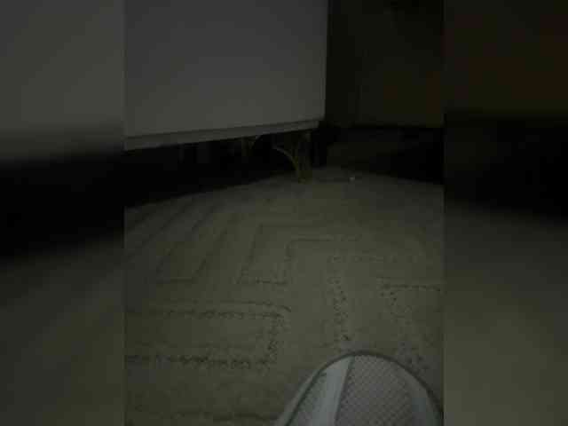 Juanitamami webcam