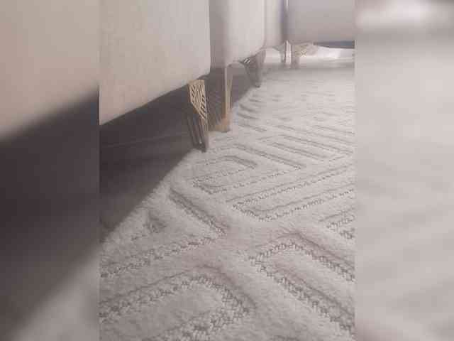 Juanitamami webcam