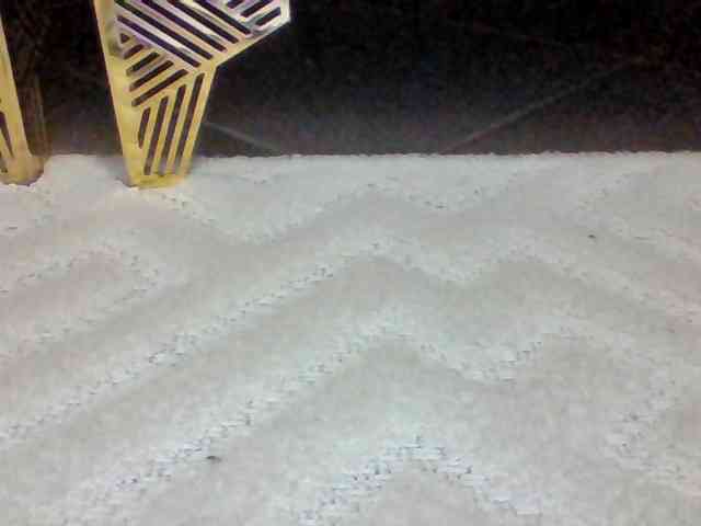 Juanitamami webcam