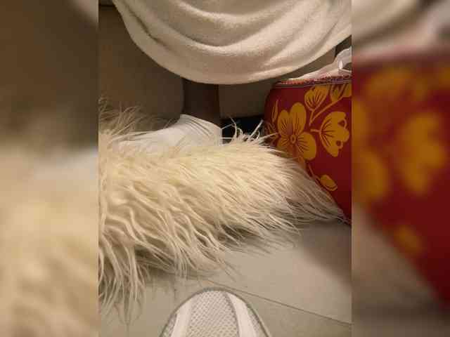 Juanitamami webcam
