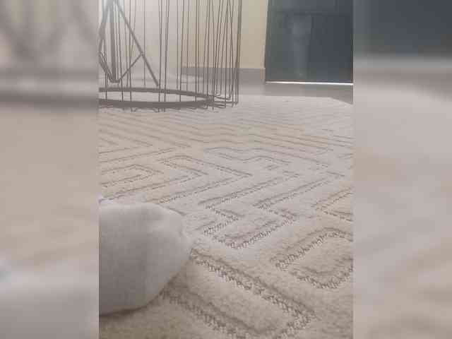 Juanitamami webcam