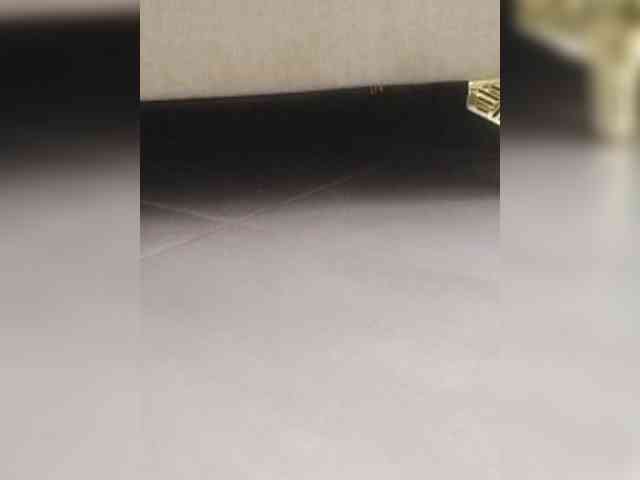Juanitamami webcam