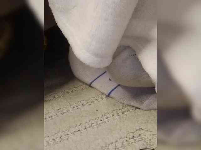 Juanitamami webcam