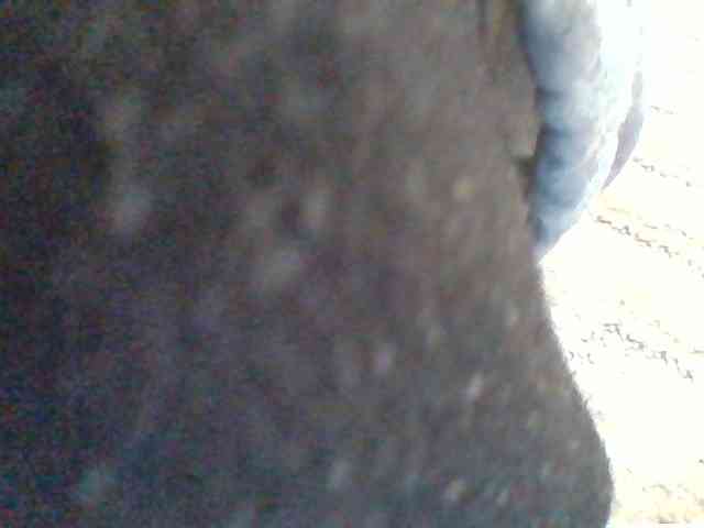 Juanitamami webcam