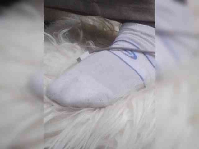 Juanitamami webcam