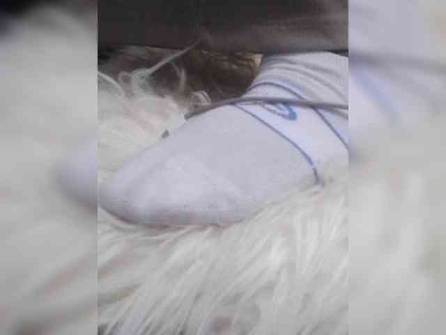 Juanitamami webcam
