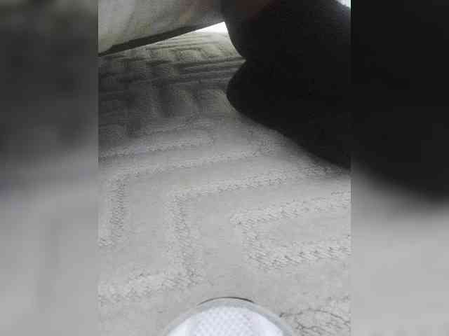 Juanitamami webcam