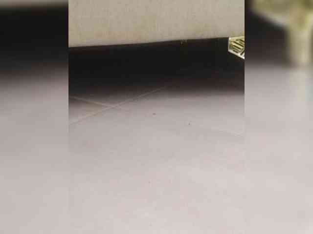 Juanitamami webcam