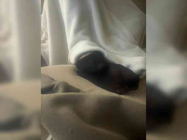 Juanitamami webcam