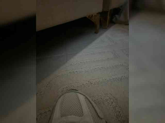 Juanitamami webcam